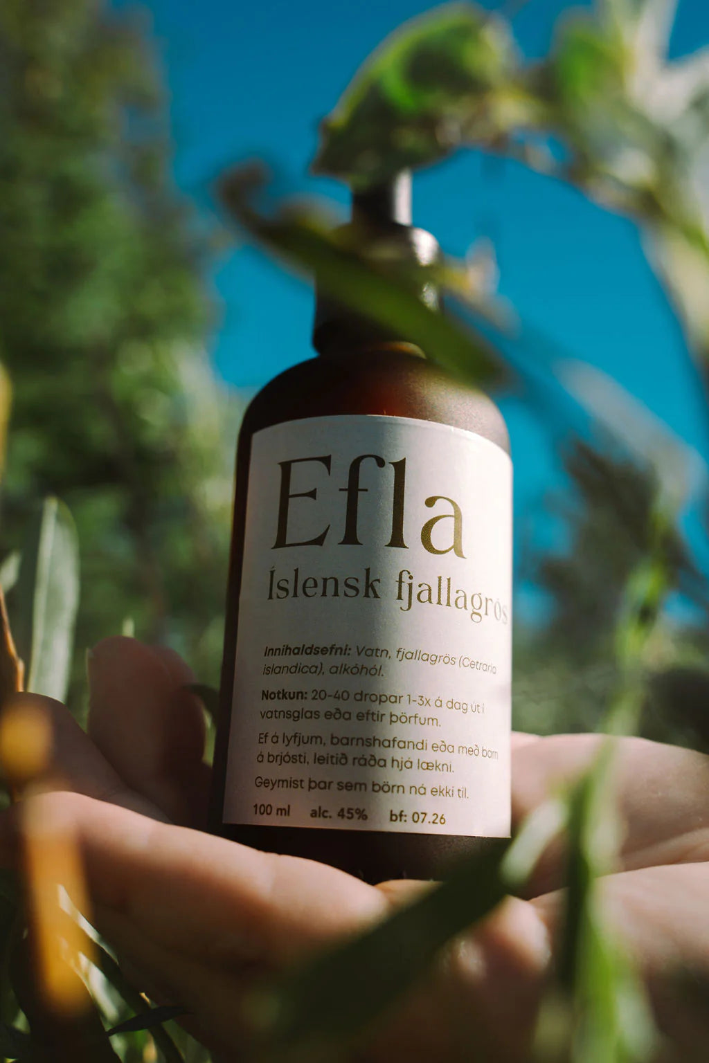 E F L A Íslensk fjallagrös | Undra jurtir